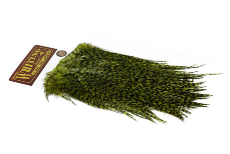 Whiting Coq de Leon Bronze Saddle