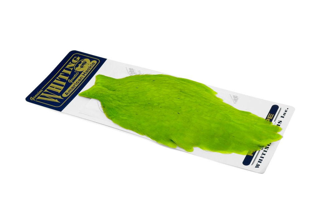 Whiting American Hen Cape