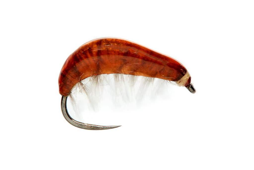 JUGLARET'S FRENCH GAMMARUS BROWN