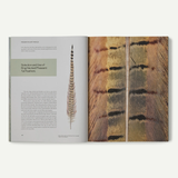 Pheasant Tail Simplicity: Recipes and Techniques for Successful Fly Fishing
