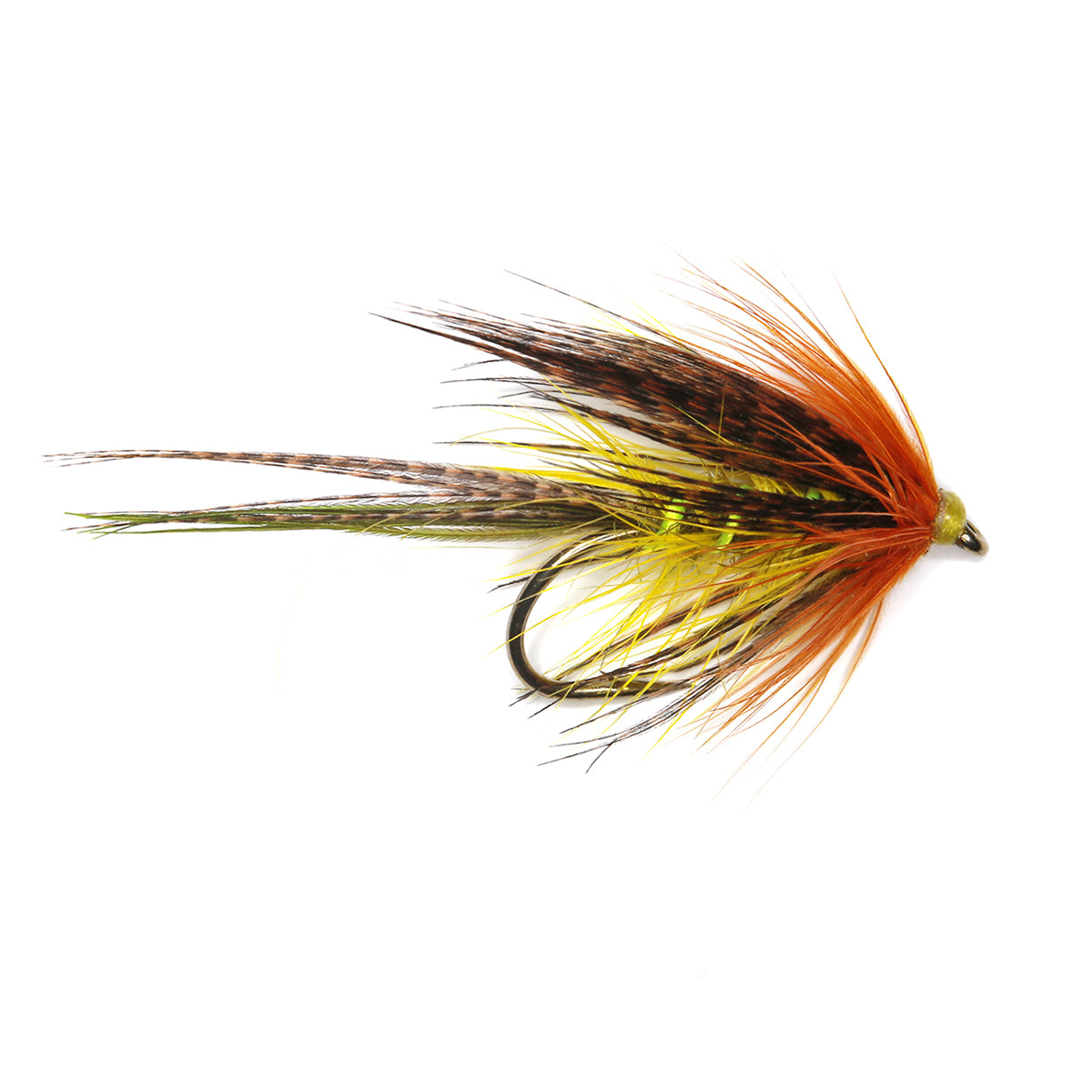 Green Dabbler - Limestone