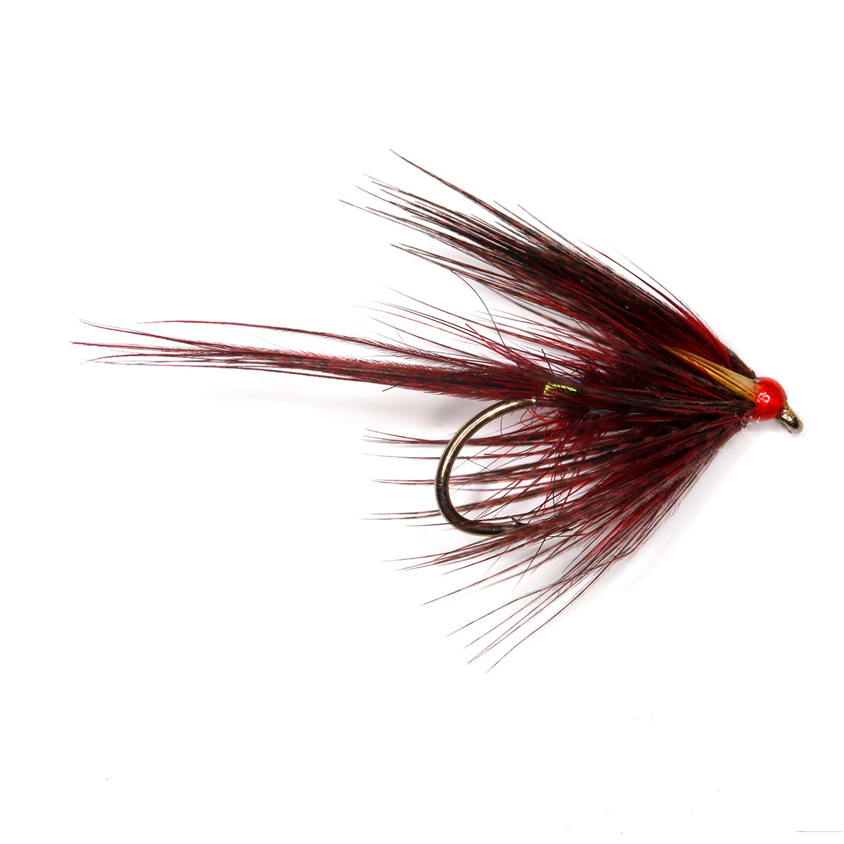 Claret Dabbler