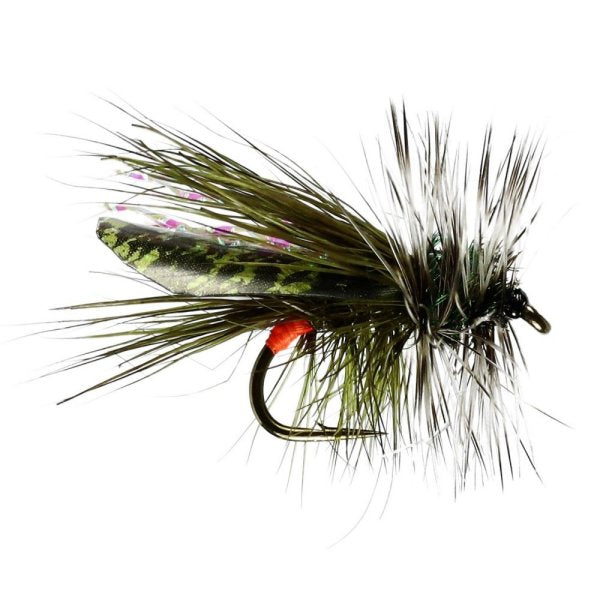 Seducer Sooty Olive Sedge