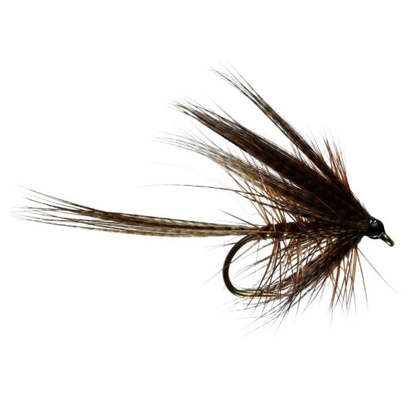 Fiery Brown Dabbler