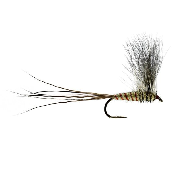 CDC Dun Mayfly