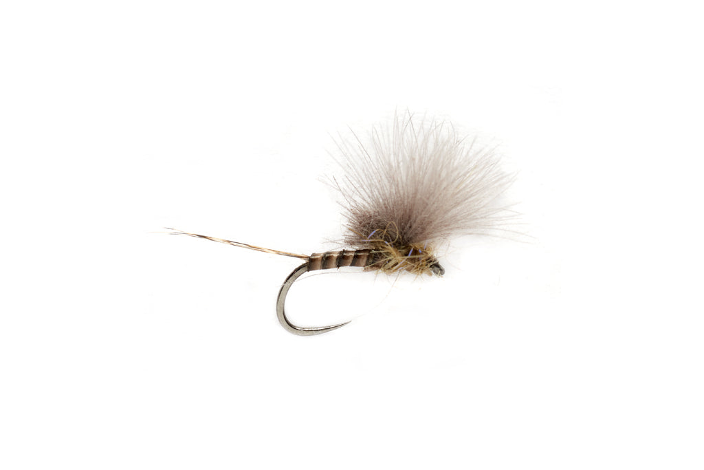 MCPHAIL CDC OLIVE QUILL BARBLESS
