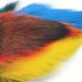 Bucktail Whole
