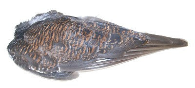 Veniard Grouse Wings
