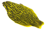 Whiting American Hen Cape - Laced