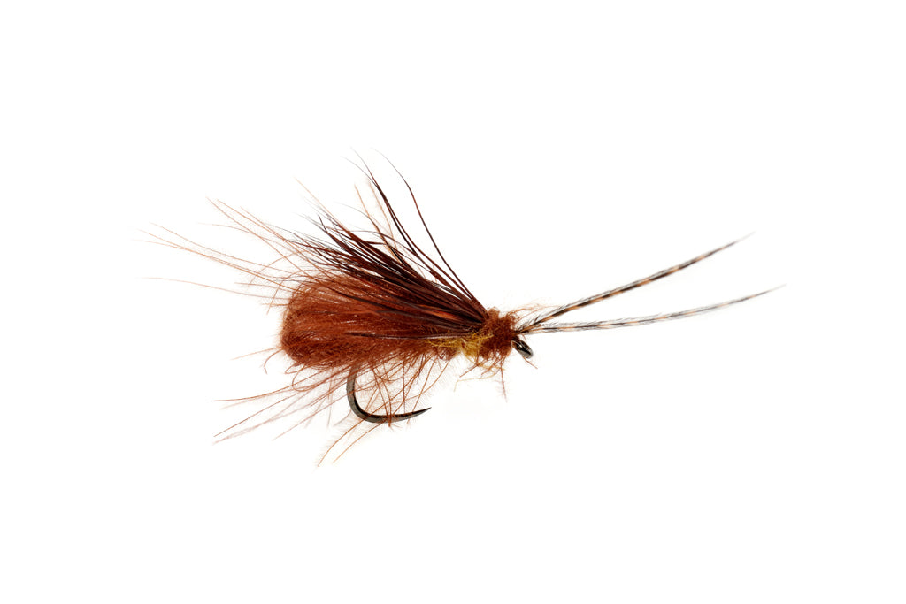 MCPHAIL BUBBLE WING CADDIS CHOCOLATE DROP BARBLESS