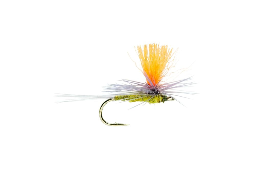 BLUE WINGED OLIVE PARACHUTE SPOT ON