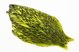 Whiting American Hen Cape - Laced