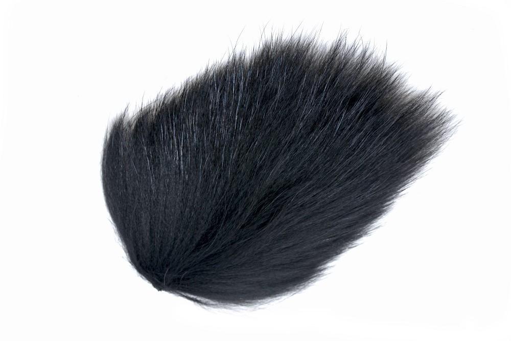 Future Fly Tanuki