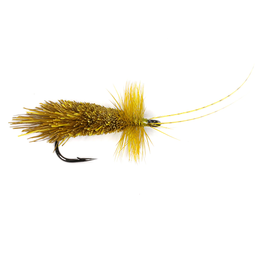 GODDARD SEDGE - OLIVE