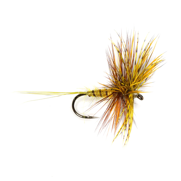 danica composite fly reel Yellow Danica Dun – Clonanav Fly Fishing