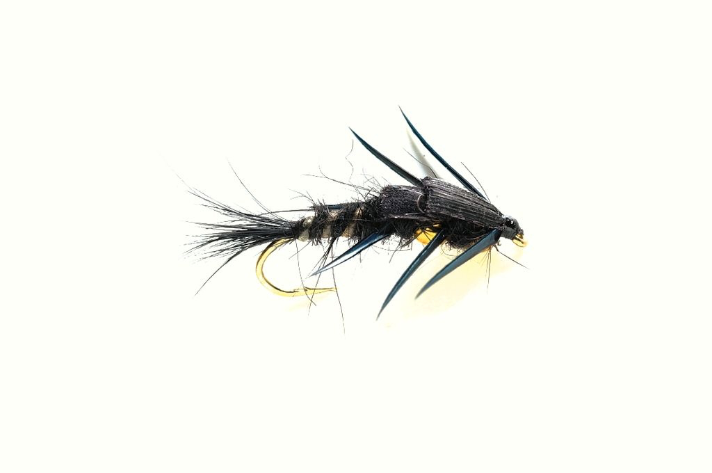 Stonefly Creeper Black