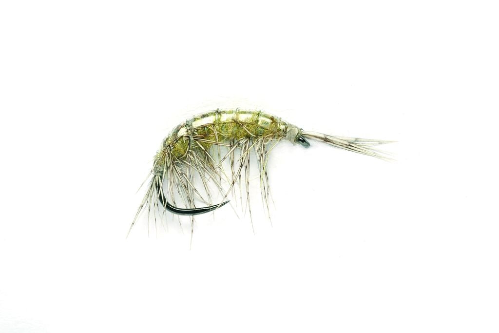 FRESHWATER SHRIMP (OE) BARBLESS
