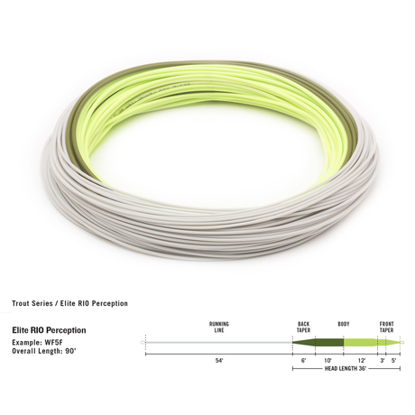 RIO Elite Perception Fly Line