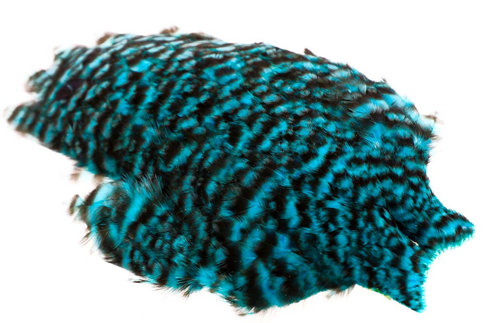 Whiting American Hen Cape Grizzly