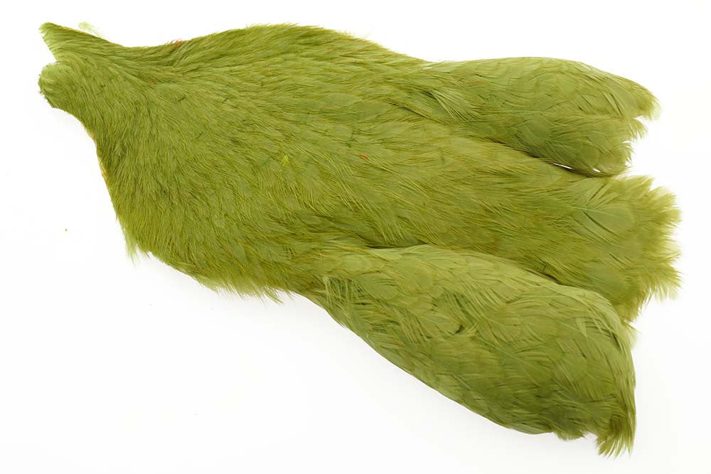 Whiting 4B Hen Cape