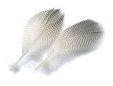 Veniard Teal Flank Feathers (2g)