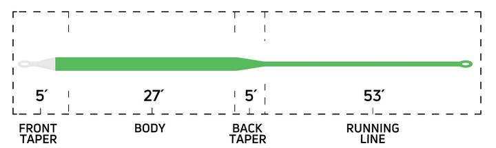 Cortland Ghost Tip 3 Lines - NEW