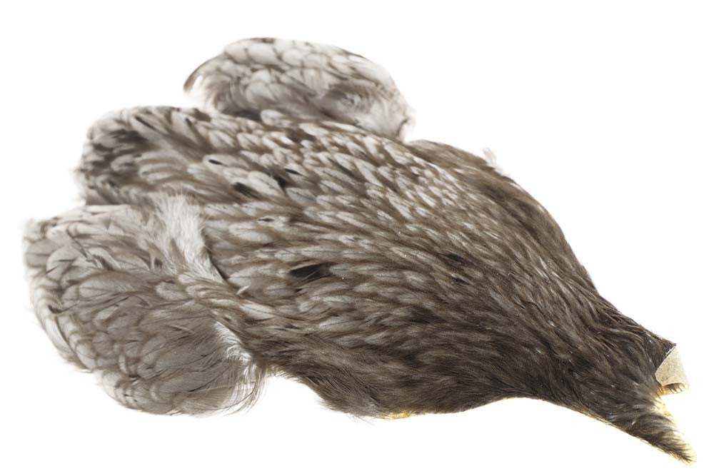 Whiting 4B Hen Cape