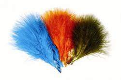 Turkey Marabou