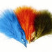 Turkey Marabou