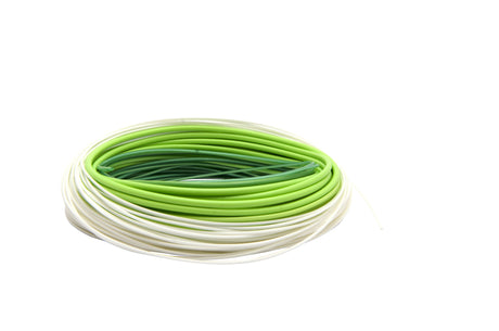 Scierra Salmon Integrated DH Fly Line